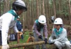 【10/22(土)～23(日)】日本三大美林　木曽ヒノキを残そう！森林ボランティア