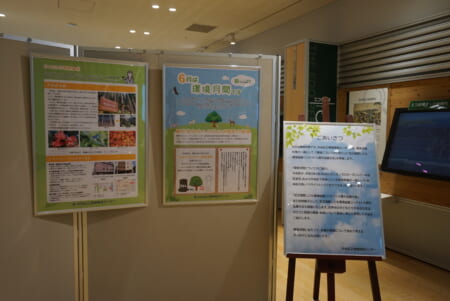 展示「環境月間と中央区の取組紹介」