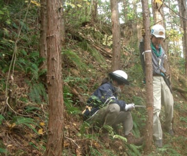 日本三大美林　木曽ヒノキを残そう！森林ボランティア◆2023年6月開催