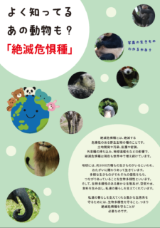 【展示】「絶滅危惧種の動物展」