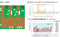 講座「微生物の力で地球を救おう！」分析結果が届きました！