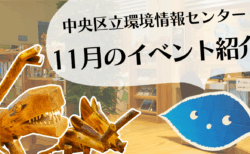 【予告動画】１１月のイベント紹介