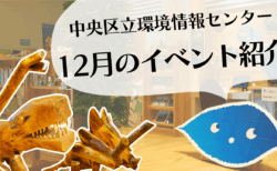 【予告動画】12月のイベント紹介